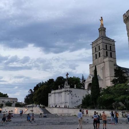 Belle Dependance De 30M2 Avec Terrasse Et Jardin Villeneuve-lès-Avignon Exterior foto