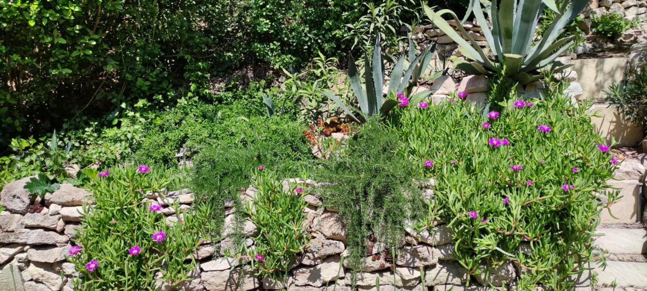Belle Dependance De 30M2 Avec Terrasse Et Jardin Villeneuve-lès-Avignon Exterior foto