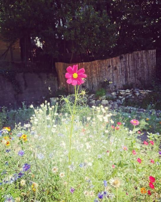Belle Dependance De 30M2 Avec Terrasse Et Jardin Villeneuve-lès-Avignon Exterior foto